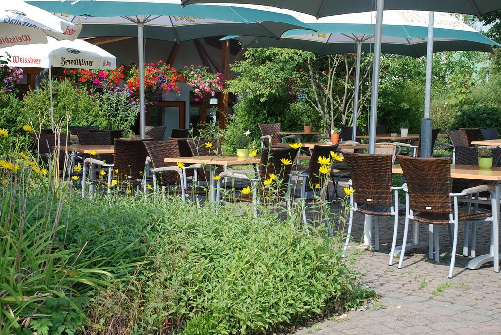 Apartamento Gaenschen Klein Ellscheid Exterior foto